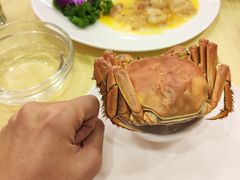 -王宝和酒家(黄浦店)