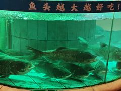 -年辉渔村·非遗传承餐厅(新丰江店)