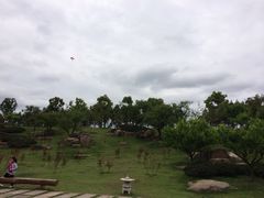 -秀丽东方
