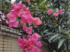 -云溪植物园