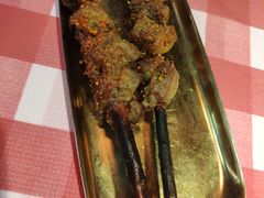 红柳木羊肉串-西域阿里马新疆菜·清真(桂花路店)