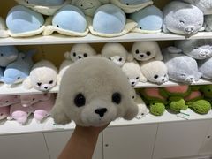 -南昌海洋公园