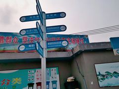 -长洲岛