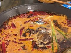 -黄潇洒老火锅(九眼桥宏济巷店)