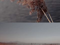 -苏州太湖湖滨国家湿地公园