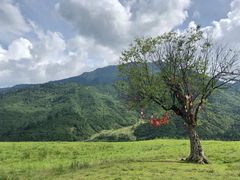 -硗碛藏寨·神木垒景区
