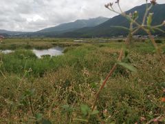 -腾冲北海湿地