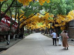 -横店影视城梦幻谷园区
