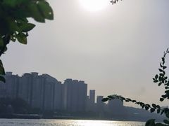 -江心屿景区
