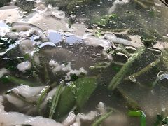 -湖鲜楼