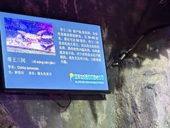 -蓬莱欧乐堡海洋极地世界