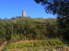 -深圳国际园林花卉博览园