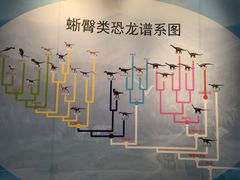 -安徽省地质博物馆