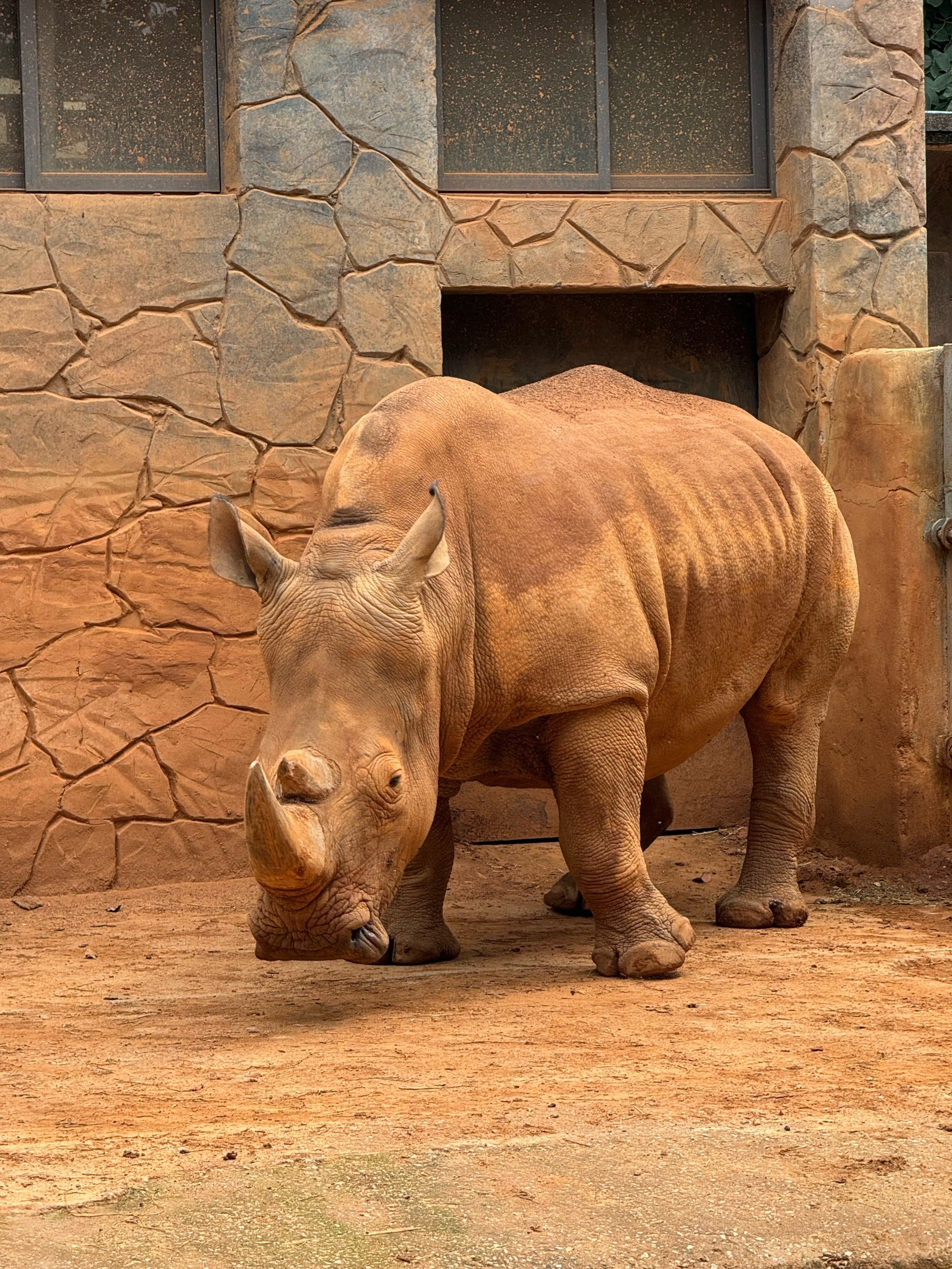 动物园里有什么