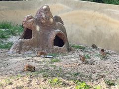 -宁波野生动物园