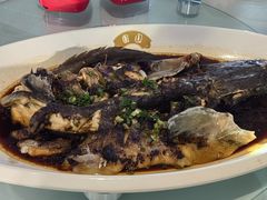 -团圆食府(新东路店)