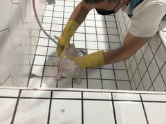 -有它宠物(顺义双兴店)