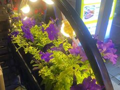 -巴伐利亚啤酒坊(意式风情街店)