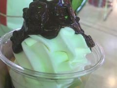 -Salud撒露欧洲冻酸奶(北苑上品店)