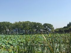 -月湖风景区