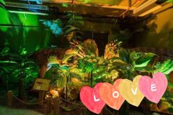 -恐龙探索乐园(磁器口店)