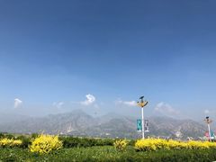 -敕勒川草原文化旅游区