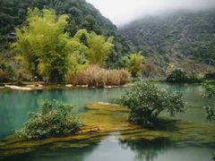 -靖西鹅泉风景区