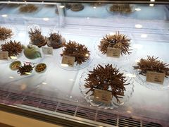 -北京同仁堂健康(金融街购物中心OLE精品超市店)