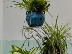 -奔驰利星行(北京花乡店)