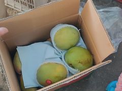 -三亚新鸿港水果一级批发市场