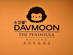 -王府半岛酒店·大堂茶座