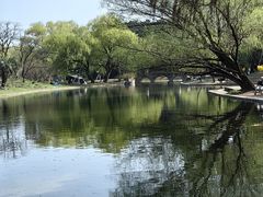 -上海共青森林公园