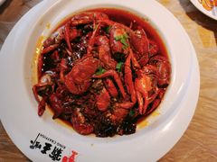 招牌麻辣小龙虾-霸王虾·小龙虾香辣蟹(玉林店)
