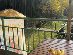 -众神白水涧景区