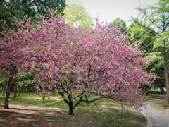 -国家植物园南园