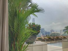 -新加坡文华东方酒店