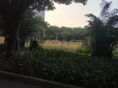 -东风公园