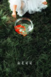 -巴巴爸爸儿童摄影(少年宫店)