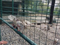 -漓咖啡西餐厅 · 桂林香格里拉