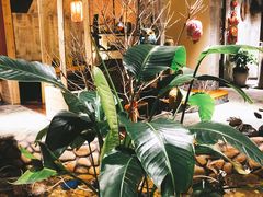 -馬蘭花開(车站大道店)