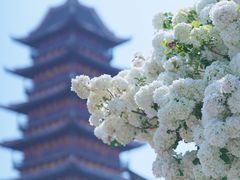 -常熟方塔园
