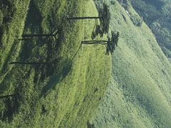 -萍乡武功山风景名胜区