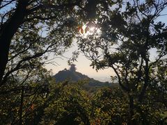 -杭州半山国家森林公园