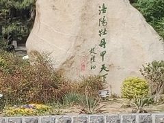 -西苑公园
