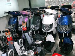 -雅迪电动车(北艾路店)
