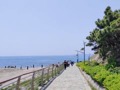 -青岛金沙滩