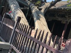 -晋祠公园