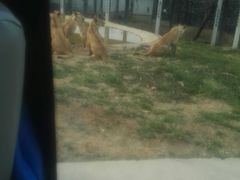 -西安秦岭野生动物园