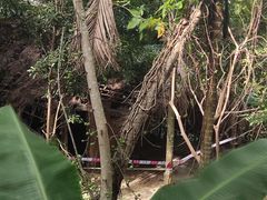 -海南槟榔谷黎苗文化旅游区
