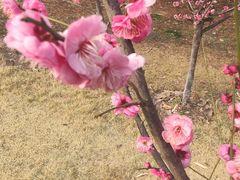 -白塘生态植物园